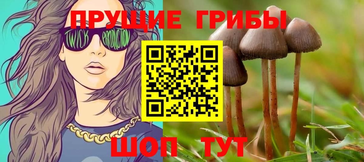 Орехово-Зуево  Галлюциногенные грибы Magic Shrooms  Вход с VPN 