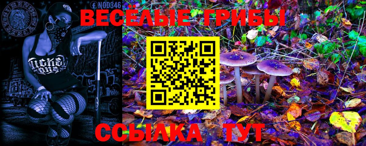 Конопля  Гашиш  Codein  Меф   Вход с VPN  Кокаин  Орехово-Зуево  MDMA 